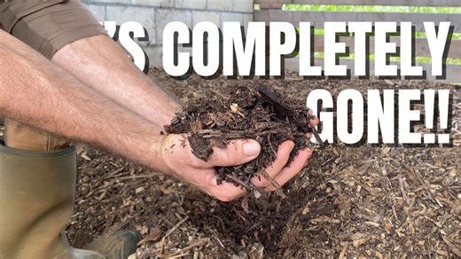 No-Smell Composting of Animal By-Products at Home