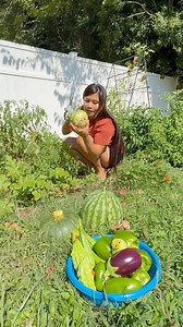 Narami tayong sari sari kaya pitasin na #gardening #gardeninspiration #greenthumb #mygardentoday #plantaddict #vegetablegarden #fruitgarden | Kutingting in USA