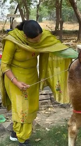 Innovation Al training institute Bathinda Punjab #artificialinsemination#iuiArtificial Insemination #ivf#reproductivehealth#womenhealth#fertility#aiinsemination | AI Vetnary Doctor