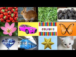 We Love all the Colors |Colors Song for Kids & Children |Nursery Rhymes & Kids Songs |#LearnColors