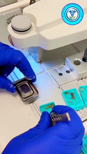 Histopathology ✅ #histologylab #histologia #histology #histología #tissue #trend #Trends #shorts #short jumanjichallenge #jumanjichallenge #kannywood #kannywoodactor #kannywoodstyle #kannywoodNews #Kannywoodactress #kannywoodmedia #kannywoodtunabaya #kannywoodexclusive #kannywoodcelebritiesKBeautialso #Sanda_series #imran #kannywoodstyle #kannywoodmedia #BOOMchallengeBOOMchallenge #BestPhotographyChallengeiographyc #kannywoodcelebritiesKBeautifulActr #kannywoodtunabaya #moodchallengechallengeTo