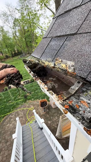 Always shocked what we find under gutter guards that we didn’t install | Lilyraeefive