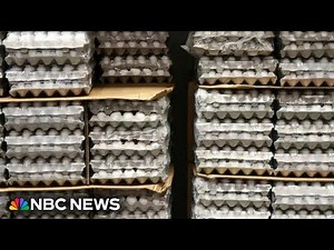 99,000 ducks to be euthanized after bird flu outbreak at New York farm