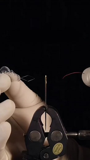 Islamic Wisdom: Inspiring Teachings for Peace