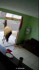 breaking tempered glass explained, #viralreelsシ #viralreelschallenge #facebookreels #facebookviral #education #reels #facebook #viral #fact | Ai wonders