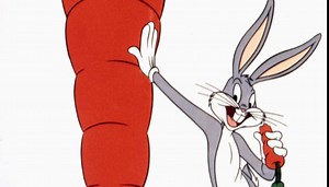 MeTV Toons, a new classic animation channel, coming in June from Chicago's Weigel Broadcasting