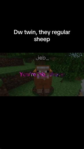 🐑 #minecraft #sheep #jeb #fyp