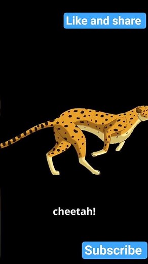 The Snapping Shrimp: Nature’s Sound Machine Short #animalintelligence