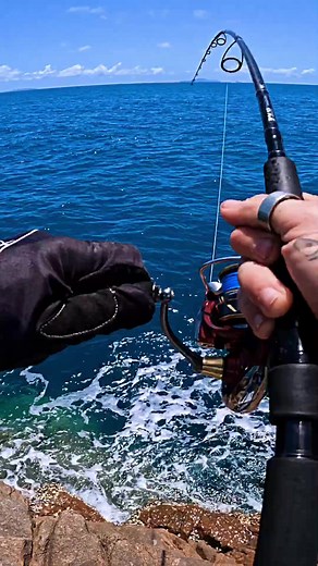 Big Fish Caught with Tiny Reel | Exciting Fishing Adventure