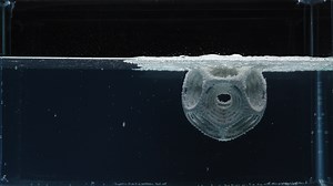 La fabrication additive transforme l’approche des ingénieurs en matière de design