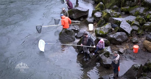 The season for smelt harvesting came and went in a single day