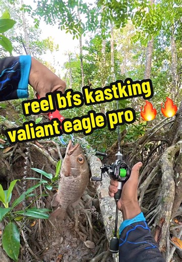 Reel Kastking Valiant Eagle Pro untuk Pemancing Ultralight