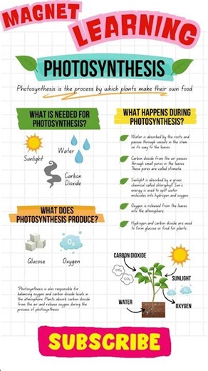 How Plants Make Food in 10 Seconds! (Photosynthesis Explained)