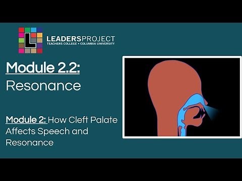 Module 2.2- Cleft Palate Speech and Feeding: Resonance