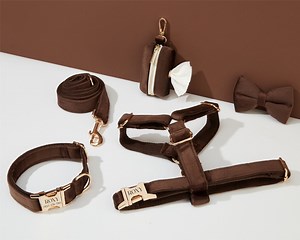 Chocolate Velvet Dog Harness and Leash Set, Personalize Step in Puppy Harness collar bowtie poo Bag Holder, No Pull Wedding Harness Bundle - Etsy