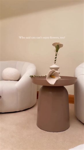 This Spring, enjoy flowers your cat will love as much as you🌼 Shop with @snowstormnoor using their code LAYLAOFF | Catenary Home
