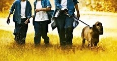 Aventuras en la selva (2009)  - Ver Película Completa en Español - FULLTV