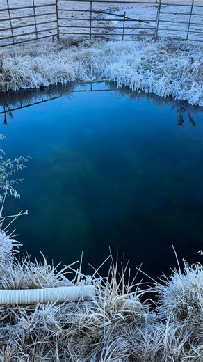 Steam from the warm spring. 1 degree Fahrenheit air temperature. Beautiful natural spring. | Eric Dodge