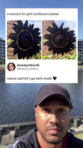 Nature Said Dark Mode Only 🖤