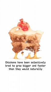 38 reactions · 4 comments | Simply put: the future of chicken is...