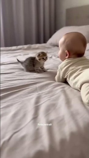 Baby Laughing with Playful Kitten 😍 | Sweetest Friendship Ever 🐱👶 | GiggleBox TV #Shorts
