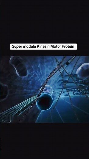 The Tiny Protein That Powers Your Cells 🚛🧬 | Kinesin in Action!