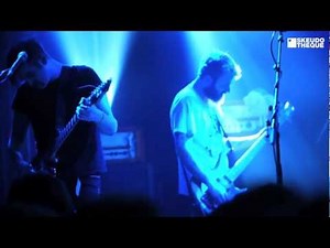 ASIWYFA - Search:Party:Animal