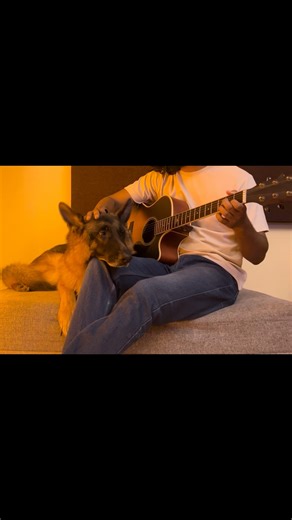 Ram on Instagram: "Idhazhin Oram 🐶🎸❤️ @anirudhofficial ✨ . . . #anirudhravichander #dhanush #anirudhsongs @dhanushkraja @sonymusic_south"