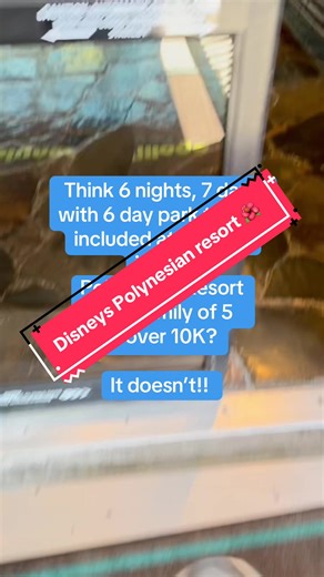 This Disney deal is PURE MAGIC. 🌺 ✨ Disney’s Polynesian Village Resort 🗓️ 6 nights / 7 days 🎟️ 6-day park tickets INCLUDED 👨‍👩‍👧‍👦 2 adults 3 kids (ages 12, 8 & 2) 🔥 SPECIAL OFFER: ➡️ 2 nights FREE park tickets included 🌴 Why families LOVE staying here: 🎆 Happily Ever After fireworks from the beach 🚝 Monorail access to Magic Kingdom & EPCOT 🌊 Water-park-style volcano pool 🥞 Breakfast at ʻOhana — a must-do Disney favorite 💰 $200 deposit locks in your room & current rates 📆 Payment 