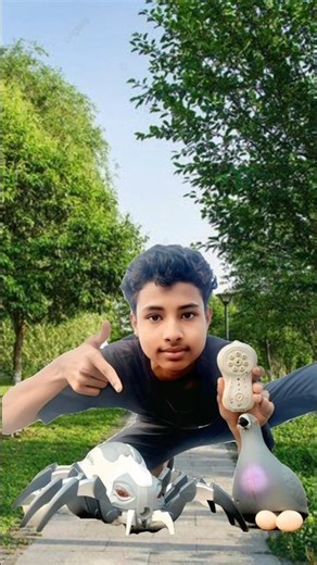 Rc Remote Control Spider and Birds Unboxing Dise 😱😱 #spider #birds #shorts #shortsfeed #unboxing