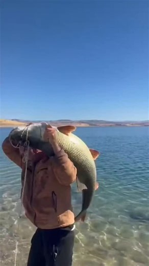 Dev Fırat Turnası Keban Barajı Elazığ 😲😲😲😲😲😲😲🧿🧿🧿🧿🧿👏👏👏👏💯💯💯💯🎣🐬🐬🐬🐬🐬🎣 Maşallah @ramazankortak212121 Teşekkürler 👏👏👏#tehran #balikavi #kozan #fishing #delhi #adana #ankara #istanbul #india #baku #azerbaycan #kazakhstan #brasil #georgia #colombia #izmir #bulgaria #uzbekistan #iran #iraq #argentina #malatya #adıyaman #romania #carpfishing #carpfishinglife #carpfishingitaly #carpfishinggermany | Türker Manga