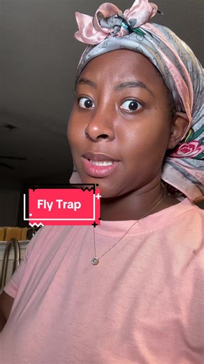 The best fruit fly traps out there at reasonable pricing! #flytrap #insect #bugrepellent