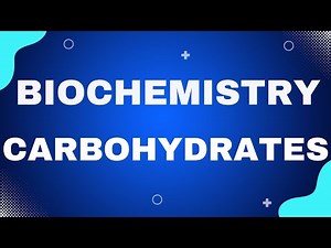 Carbohydrates Explained Easily | Types, Structure & Functions | Biochemistry | Fatima Academy -