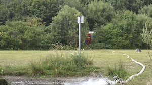 Biotop war ausgetrocknet: Feuerwehr rettet Tiere