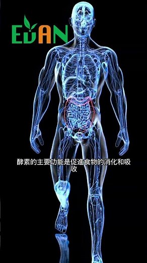 酵素的主要功能是促進食物的消化和吸收#艾門享受健康計畫 #飲食計畫 #減肥 #瘦身 #健康 #蔬果漾 #優菌多 #亮妍肌漾