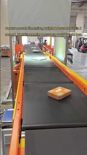 Integrated Sorting Production Line with Curve Narrow Belt Conveyor & DWS #automatedsorting #machine