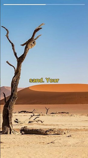 Quicksand Kills Faster Than Drowning 💀