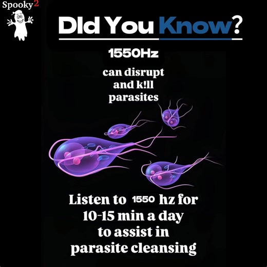 🦠 Parasites vibrate too. 1550Hz is one of the powerful Rife frequencies believed to target them through resonance. Like glass shattering at the right pitch, parasites may break apart when hit by their unique frequency—while leaving your healthy cells safe. ✨ Want more knowledge & free frequency resources? 👉 Subscribe to our email list here: https://www.frequencyheals.com/?utm_source=Facebook&utm_medium=Spooky2Page&utm_campaign=Old&utm_content= Parasites vibrate too #rife #frequenciesforyourlif