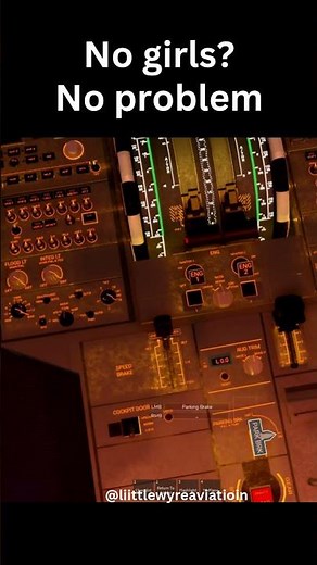 First Edit! #butterlanding #geofs #737 #klm #planes #stunt #swiss001landing #landing