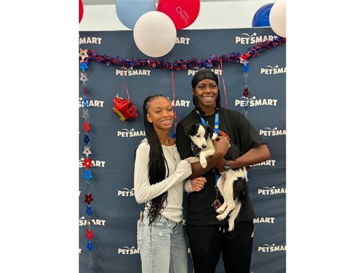 PetSmart's National Adoption Week: Adoptable Pets Heading To these RivCo Locations