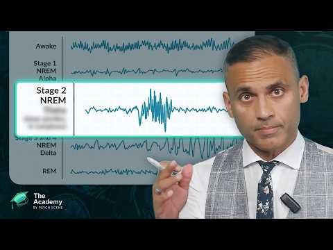 The 4 Stages of Sleep Explained: REM, N1, N2 & N3
