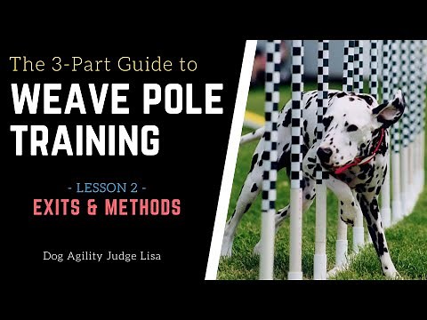 Dog Agility Weave Pole Training - The Exit & Learn 5 Weave Methods! | Dog Agility Training