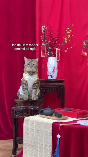 #meocheese
