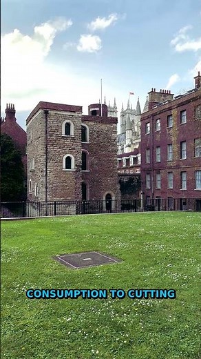 5 Sustainable Living Tips That Will Save You $100 A Month | Eco-Fri...