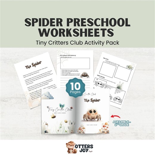 Spider Preschool Worksheets Printable: 10 Page Toddler Activity Pack | Tracing Math Coloring | Insect Theme Learning | Pre K Busy Binder - Etsy