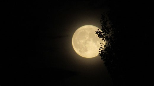 Look up! The first of two August Full Moons rises tonight! - The Weather Network