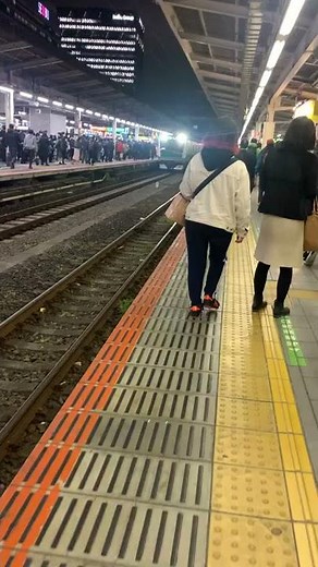 Japan’s train accident ( what happens when train runs over someone )