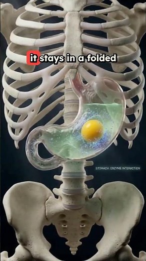 Cook eggs for better protein absorption👌👌👌