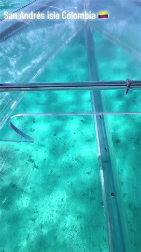 San Andrés isla es hermoso y en un bote de cristal más #sai #sanandres #sanandresislas #mar #sanandresislascolombia