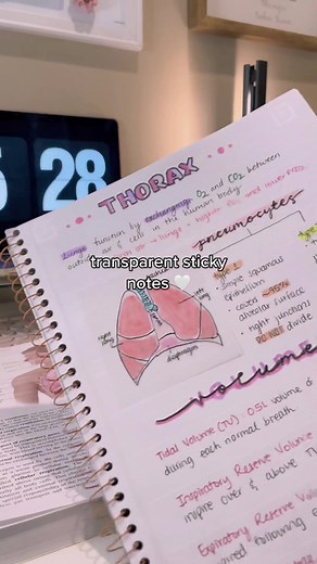 been wanting to try these forever! 🙊 audio describes how I felt when @Office Depot had them in stock #transparentstickynotes #stickynotes #anatomynotes #foryou #officedepot #studytok #studyhack #notetaking #aestheticnotes #fypp #studymood #desksetup #notetakingtips